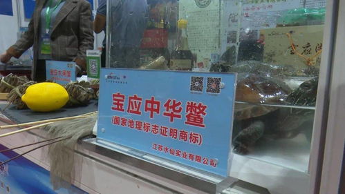 寶應3企業優質農產品亮相江蘇農展會，上海市民競相“打call”